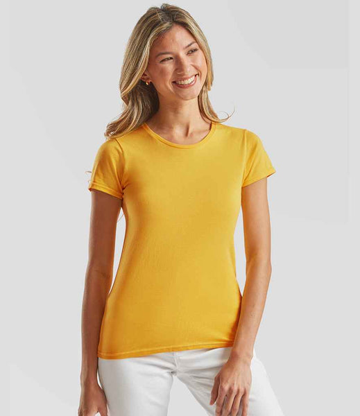 SS721 Sunflower Model