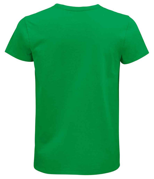 03565 Kelly Green Back